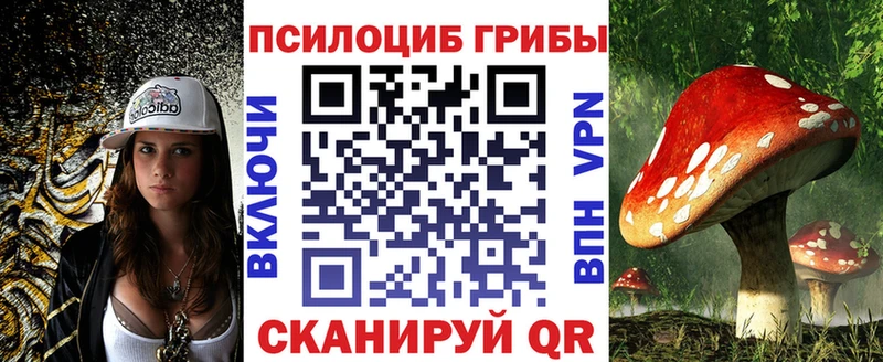Галлюциногенные грибы Cubensis  Купить где  Пошехонье 